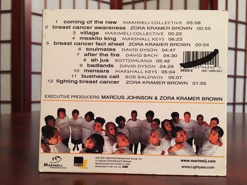It Takes a Village by Various Artists (CD, Feb-2001 Track , Lightyear) - Imagen 6 de 6