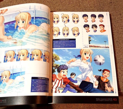 Fate/complete material 5 V Hollow ataraxia Japanese Art Book from