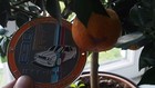 Bild 2 von 8