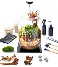 Terrarium Kit with Grow Light 24-Piece DIY Glass Round Set, multiple colour
