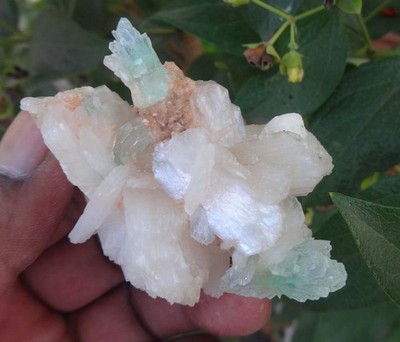 Grün Apophyllit Blumen auf Stilbit Mineralien Probe Indien Bo = 29