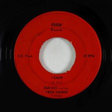 Garage Surf Breaks 45 - Dan Nix & the Teen Sounds - I Know - Crash - rare!
