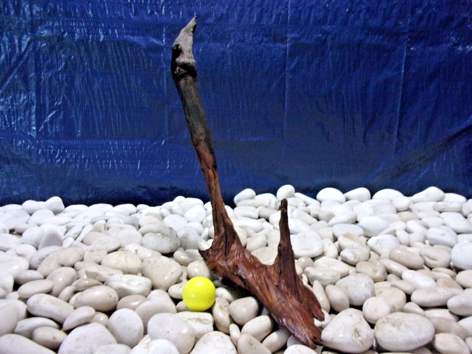 Large Driftwood Aquarium Loose Wood, Very Low Tannins, Freshwater