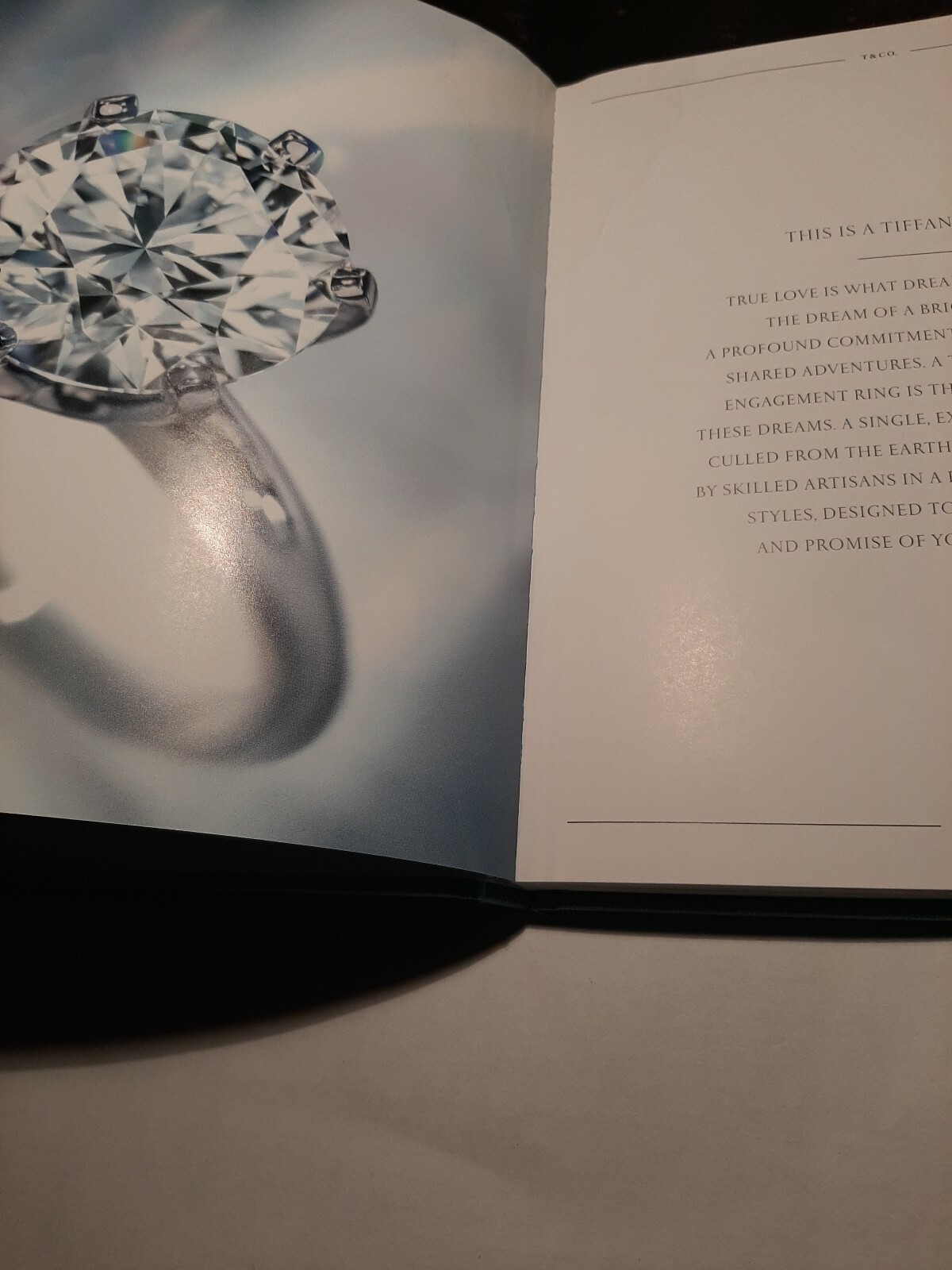 Foto 1 di 5