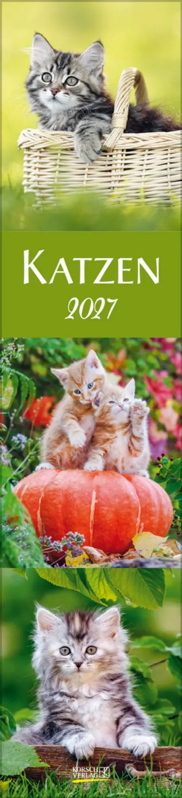 Katzen Langplaner 2027 - Bild 6