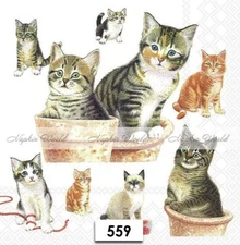 (559) TWO Paper LUNCHEON Decoupage Art Craft Napkins - KITTENS CATS FELINES