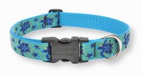 Lupinepet Originals 1 Turtle Reef 16-28 Adjustable Collar For Large Dogs Lupinepet Originals 1 Turtle Reef 16-28 Adjustable Collar For Large Dogs