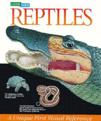 A Look Inside Reptiles (Look Inside (Heinemann)) - Hardcover - VERY GOOD