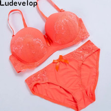 New Lace Embroidery Bra Set Women plus Size Push up Underwear Set Bra and Pant