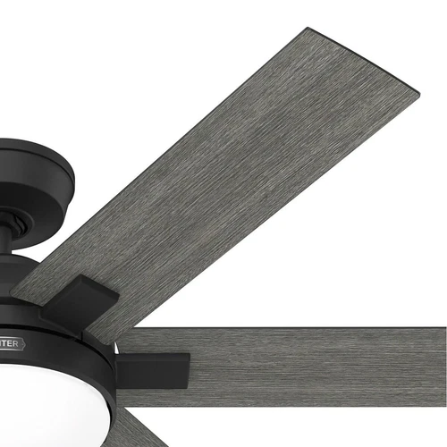 Hunter 52 Georgetown ENERGY STAR Ceiling Fan W/ LED Light, Remote - Contemporary - Picture 17 of 24