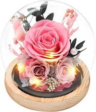 Preserved Pink Forever Roses in Light up Glass Dome, Eternal Rose Gift, Pink