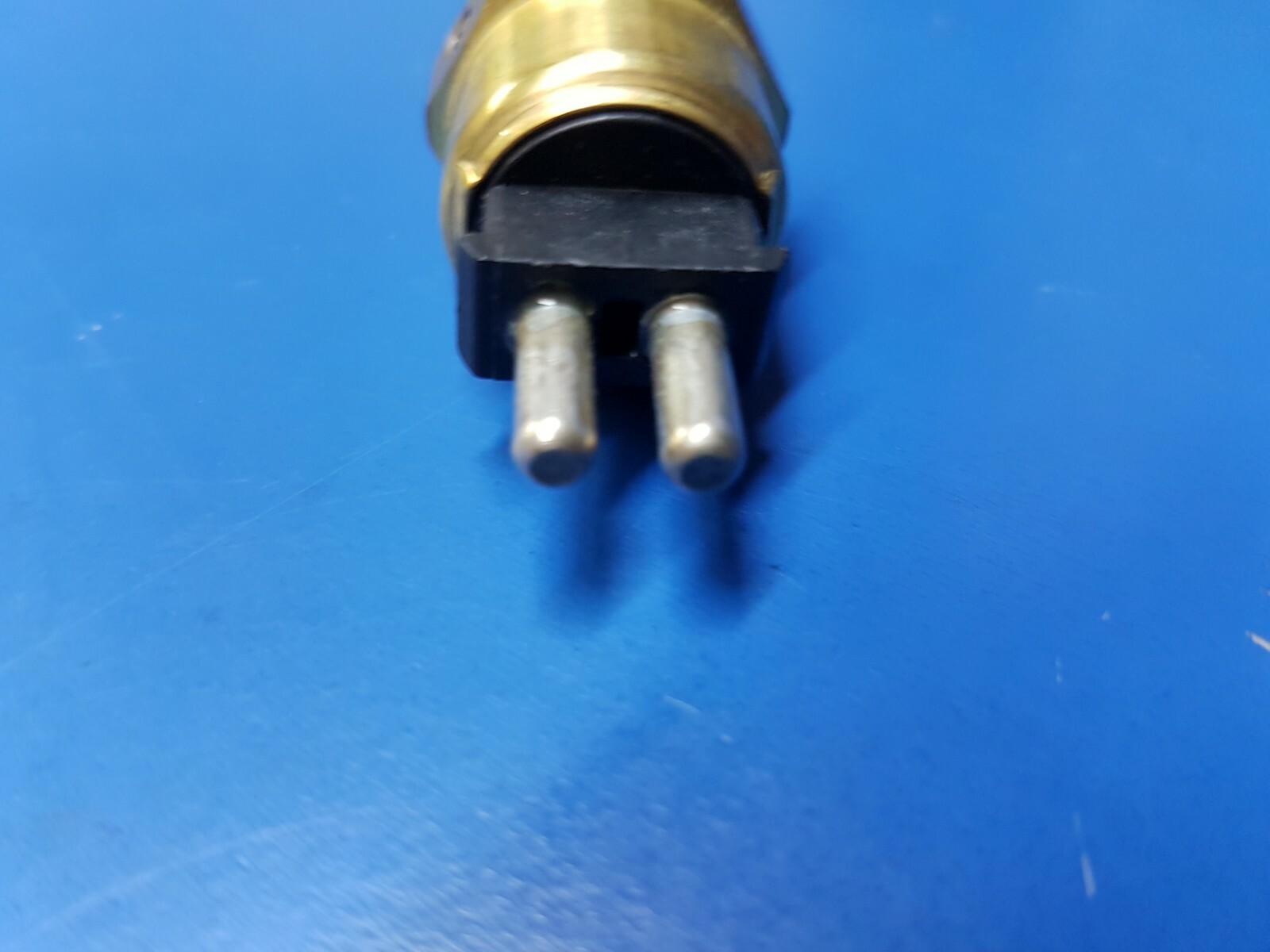 OLD JOE TROUSER (SCAR FACE)