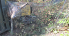 Foto 7 di 8