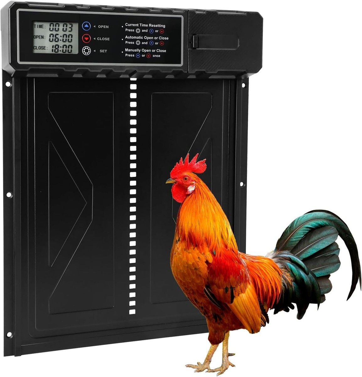 Automatic Chicken Door For Sale On Amazon