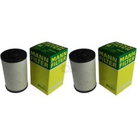 2X Original Mann Kraftstofffilter BFU 811 Fuel Filter