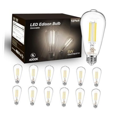 DAYBETTER Vintage LED Edison Bulbs, E26 Led Bulb 60W Equivalent, 12 Pack