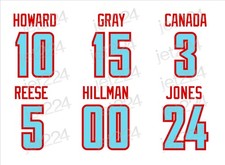 Atlanta Dream STICKER DECAL 2026 WNBA