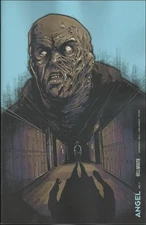 Angel (Boom!) #7C FN; Boom! | Buffy Vampire Slayer Spin-Off Hellmouth - we combi