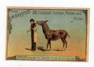 D M Bristol’s Eques curriculum Trade Card Denver Performing Mule
