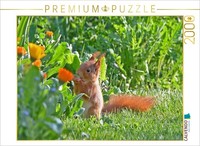 Calvendo Puzzle Squirrel And Marigold Breakfast | 2000 Pieces, Finished Size 35.