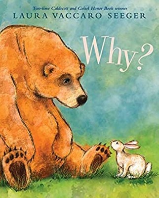 Why? Hardcover Laura Vaccaro Seeger