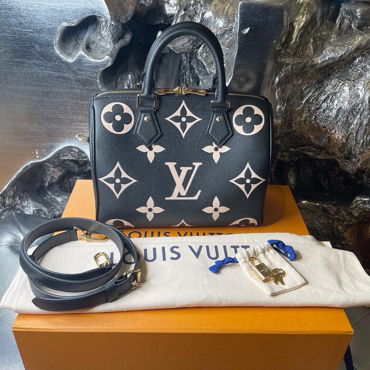 Louis Vuitton Bicolor Speedy 25 Bandouliere | eBay Louis Vuitton Bicolor Speedy 25 Bandouliere | eBay