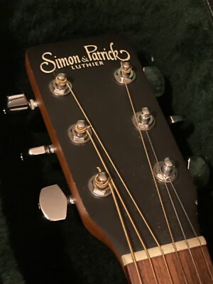HANDMADE Simon Patrick Luthier Martin Hard Shell Acoustic Gibson gretsch string