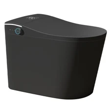 Black Luxury Japanese Smart Bidet Toilet with LED Light, Auto Flush and More