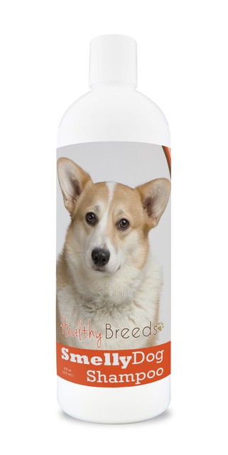 corgi hypoallergenic
