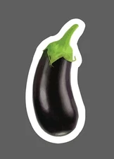 Eggplant Sticker Vegetable Waterproof Vegetable Food Garden Gift NEW