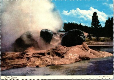 Vintage Postcard WY Yellowstone Park Grotto Geyser