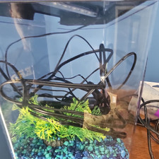 Rectangular Plastic Aquarium Fish Tank with Lid, Electrical, Plant, Gravel