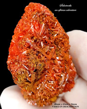 Crocoite - Farm Troye Namibia