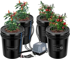 DWC Hydroponics Grow System with Top Drip Kit, 5-Gallon Deep Water Culture, Reci