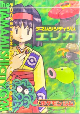 [sell separately] Japanese  Pokemon  cards Gym Erika construction deck