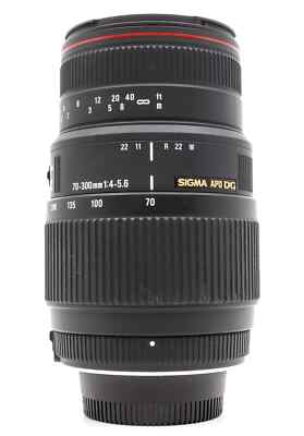 美品　SIGMA APO DG 70-300mm F4-5.6 Nikon Buy Sigma DG 70-300mm f/4.0-5.6 APO DG Lens For Nikon online