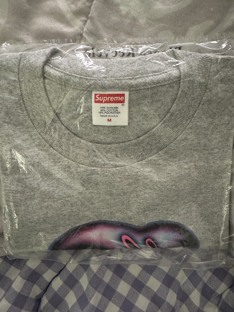 スケートボード Supreme Drugs Tee Heather Grey L Supreme Drugs Tee (FW24) - $40