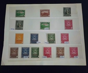 hashimziajafri | eBay Stores
