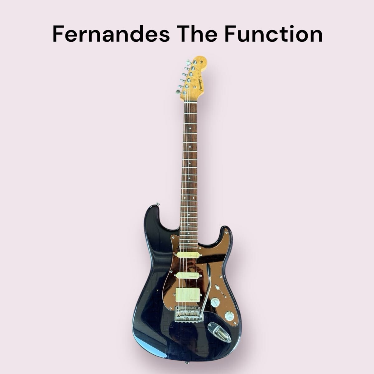 Fernandes The Function ST-45 SSH フェルナンデス Fernandes