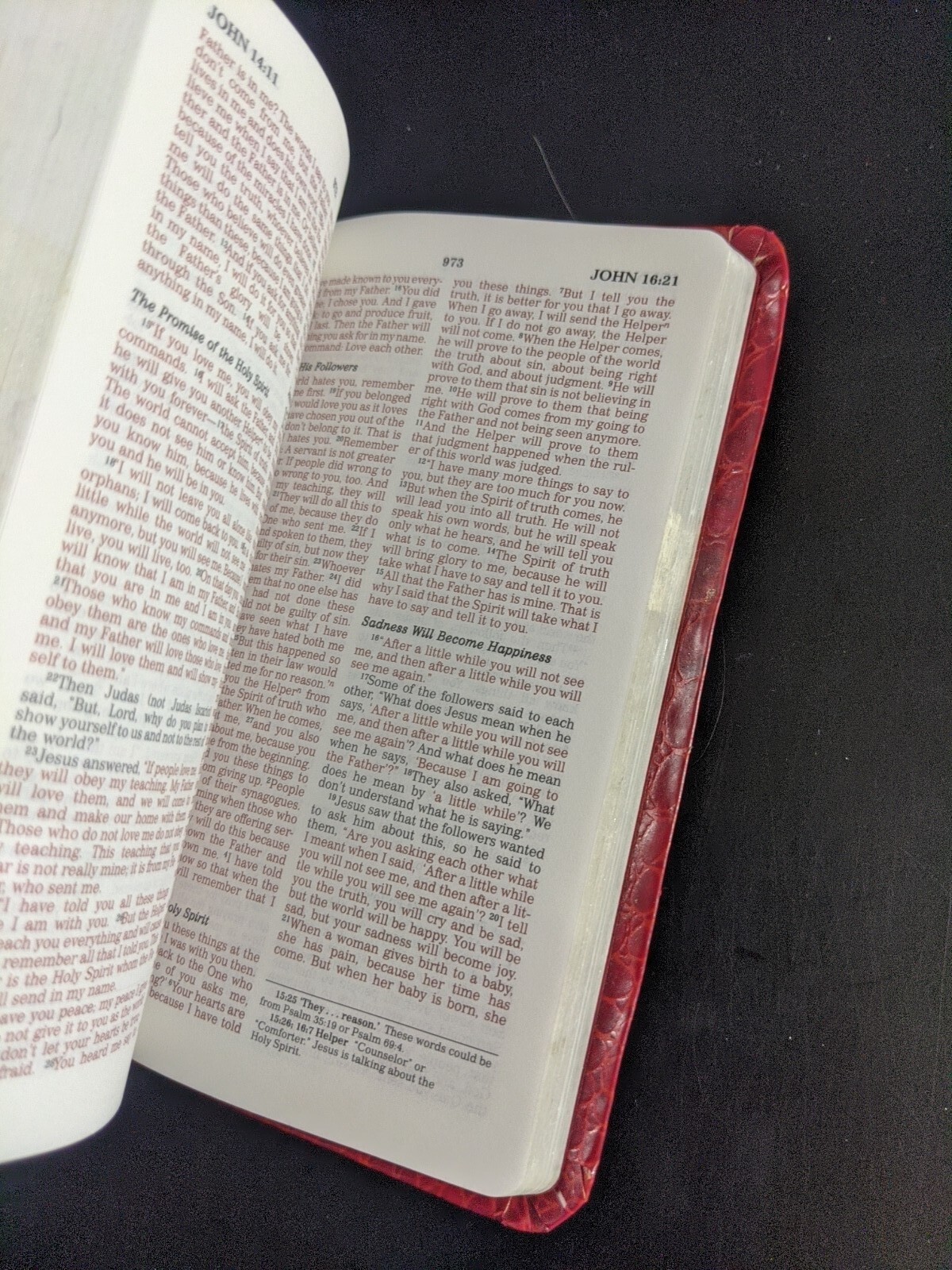 The Holy bible New Century Version Nelson 7224RC eBay