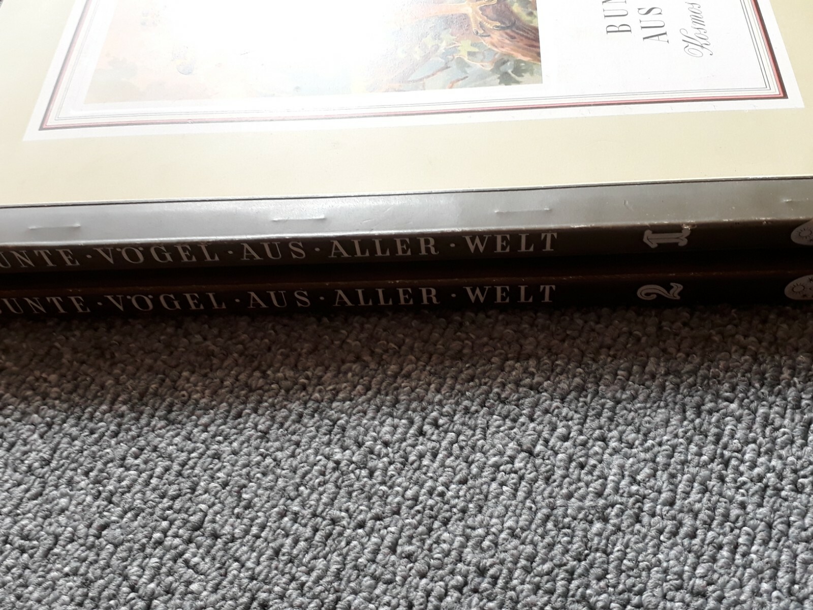 Bild 8 von 12
