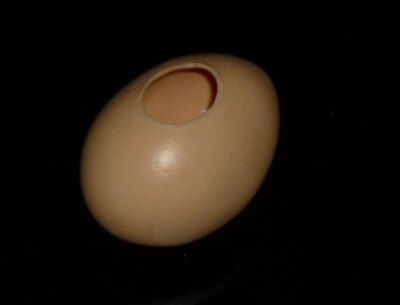 Super Latex Egg Brown Magic Trick,Close Up Magic,Stage Magic,Magic Lots