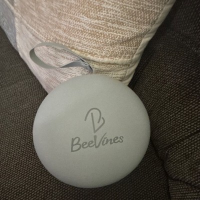 BeeVines Memory Foam Neck Travel Pillow, Gray, with Carrying Case