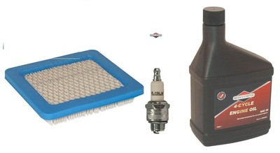 SAE30 0,6L Öl Zündkerze RJ19LM für Rasenmäher Luftfilter Briggs Stratton 3-5 PS 