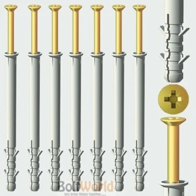 BOLT WORLD M8 & M10 MASONRY NYLON FRAME FIXING NYLON PLUG & SCREWS VARIOUS LENGTHS