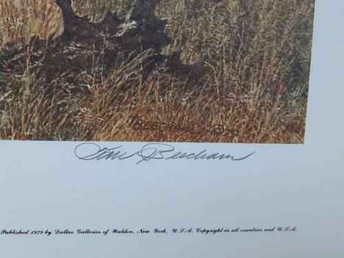 TOM BEECHAM Raro " IL DIFENSORE" S/N 10/450 1979 26" x 20" - Foto 7 di 9