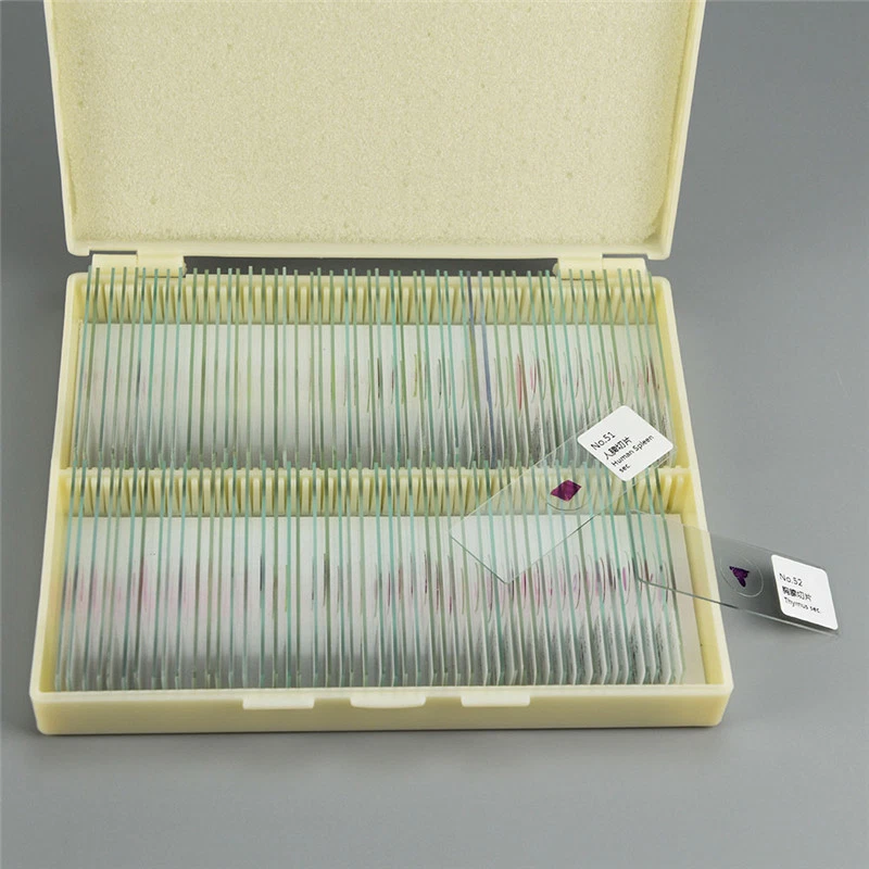 Conjunto de 100 piezas de diapositivas preparadas para microscopio de patología de mamíferos muestra Foto 2 de 4