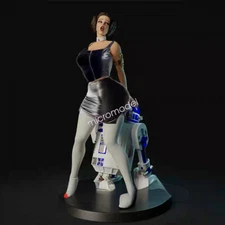 Leia Organa Solo Statue Figure Model Collectible Private Order Need Wait