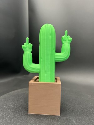 Cactus Giving The Middle Finger! Perfect  hidden  Desktop Decor. Over 5  Tall!