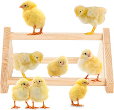 Chicken Perch and Roosting Bar for Coop - Natural Wooden Chicken Roost with S...